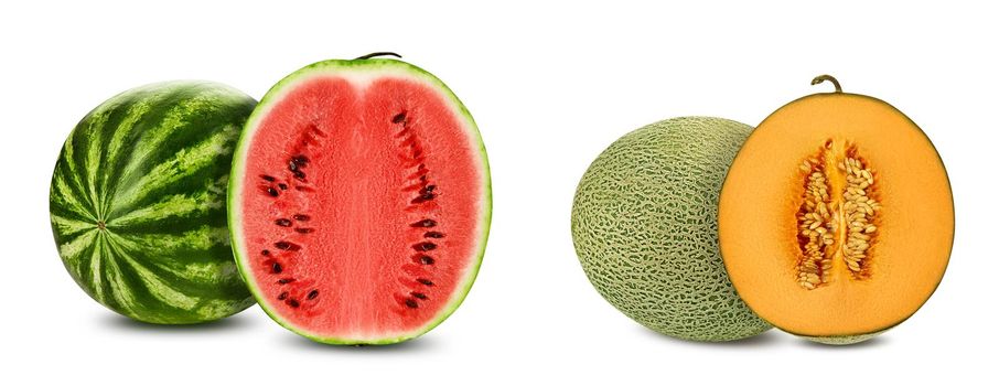 Green, striped watermelon and cantaloupe melon with halves in a cross-section, isolated on white background with copy space for text or images. Juicy red and yellow flesh with seeds. Side view. Close-up shot.