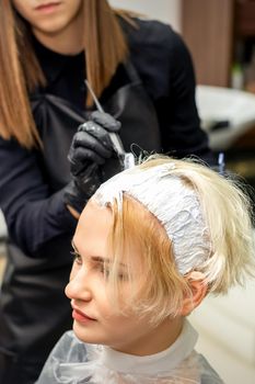 Female hair stylist applies white dye to hair of young female client in hair salon