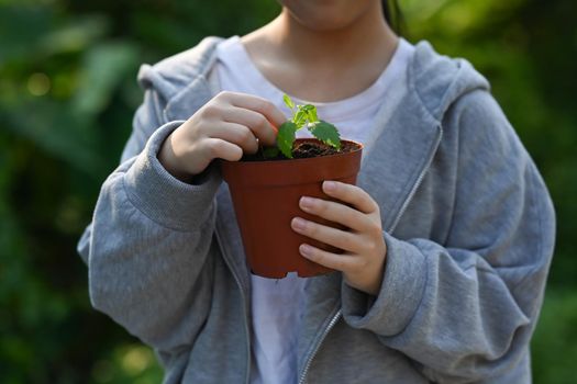 Girl holding potted plant in hands against blurred green nature background. Saving the world, Ecology, Earth day concept.