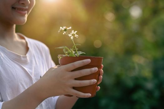 Cute little girl hands holding potted plant on blurred green nature background. Earth day, Ecology concept.
