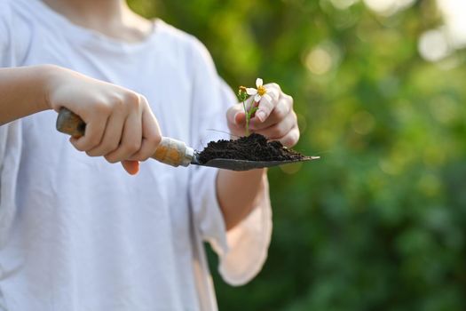 Cropped image of girl holding garden shovel with green plants seedling in hands. Earth day, Ecology concept.