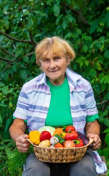 Grandmother in the garden with a harvest of vegetables. Selective focus. Food.