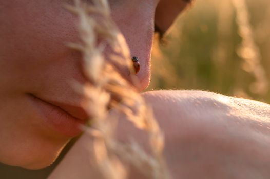Young woman playing with a cute ladybug in the nature at sunset. Back to the nature concept. Ladybug is walking on the woman nose.