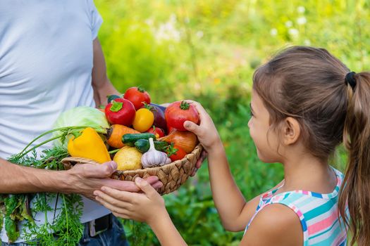 A man farmer holds vegetables in his hands and a child. Selective focus. Food.