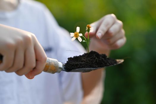 Cropped image of girl holding garden shovel with plant against blurred green nature background. Earth day, Ecology concept.