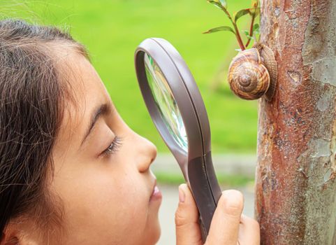 The child examines the snails on the tree. Selective focus. Nature.