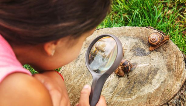 The child examines the snails on the tree. Selective focus. Nature.