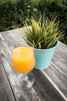 Glass of orange juice with a green plant in blue pot on wooden table
