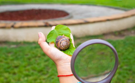 The child examines the snails on the tree. Selective focus. Nature.