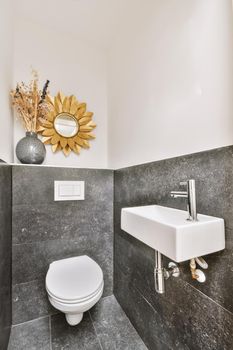 Toilet room with decorative mirror on the wall