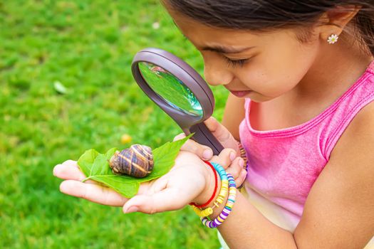 The child examines the snails on the tree. Selective focus. Nature.