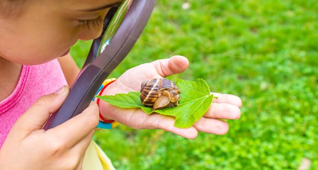 The child examines the snails on the tree. Selective focus. Nature.