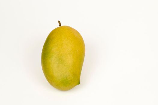 Closeup view of single Kesar Mango on a white background