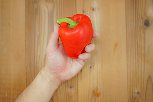 Male hand with paprika. Shooting Location: Yokohama-city kanagawa prefecture
