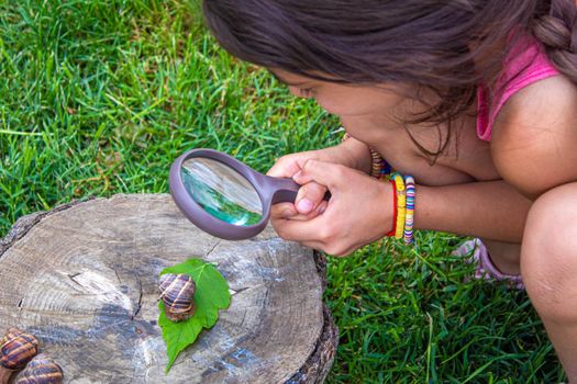 The child examines the snails on the tree. Selective focus. Nature.