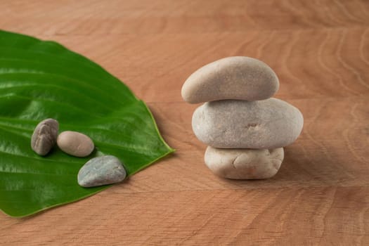 Green Leaves, Roadway Hosts and Stones of Various Velecheny, on the Background of a Wooden Board