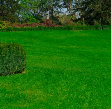 Landscape, green manicured lawn, and trees, in the background