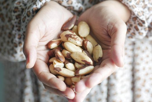 close up of Brazilian nut on women hand .