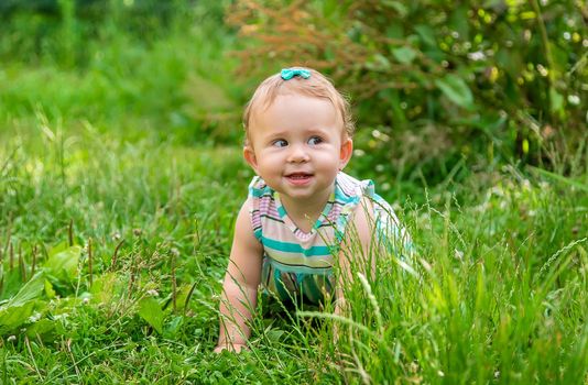 Baby is sitting on the grass. Selective focus. Nature.
