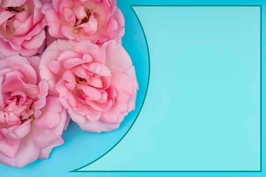 rose flowers, on a blue background space for text in a frame, banner template