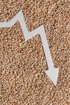 Wheat import. Reducing imports of wheat and cereals. world food crisis. Ban on the import of grain and agricultural products