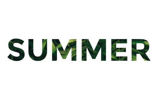 The word summer from a palm leaf on a white background. Summer concept. Summer background