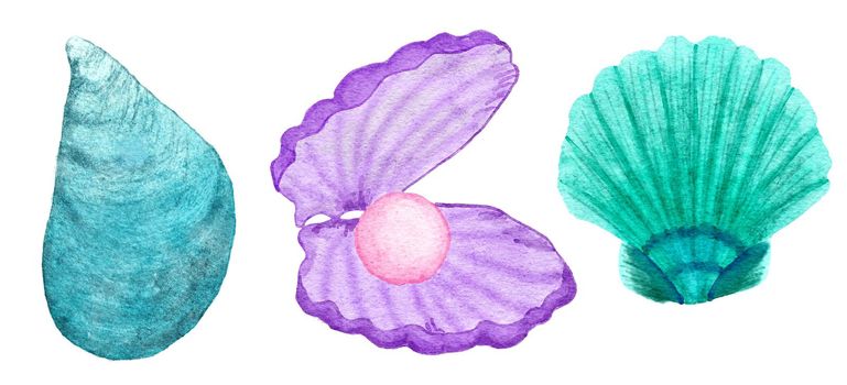 Watercolor illustration of shells, clam shell in blue turquoise purple colors, ocean sea underwater wildlife animals. Nautical summer beach design, coral reef life nature