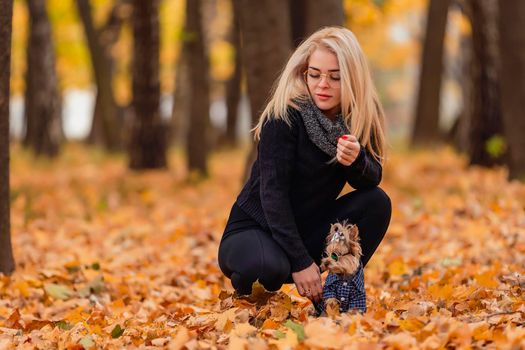 girl with her yorkshire terrier dog in the park