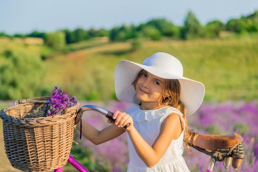 A child in a lavender field. Selective focus. Nature.