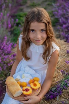 A child in a lavender field. Selective focus. Nature.