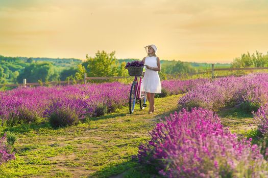 Woman in lavender field on a bike. Selective focus. Nature.