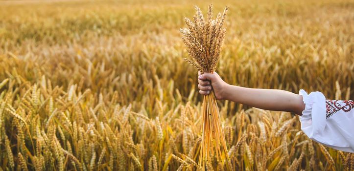 Child in a wheat field. In vyshyvanka, the concept of the Independence Day of Ukraine. Selective focus. Kid.