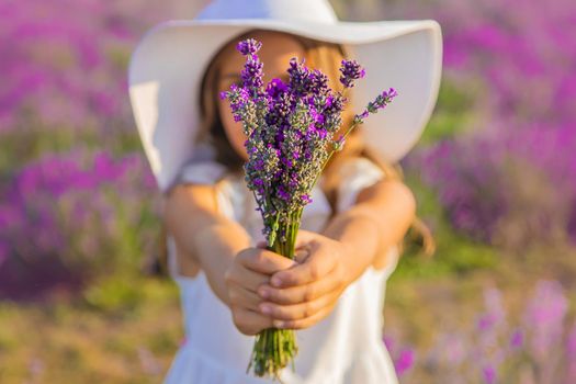 A child in a lavender field. Selective focus. Nature.