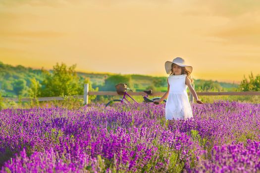A child in a lavender field. Selective focus. Nature.