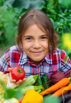 The child holds vegetables in his hands in the garden. Selective focus. Nature.
