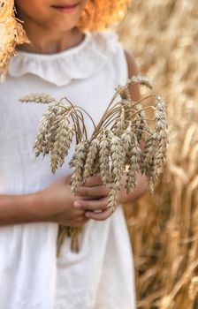A child in a wheat field. Selective focus. Nature.