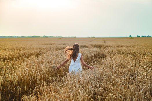 A child in a wheat field. Selective focus. Nature.
