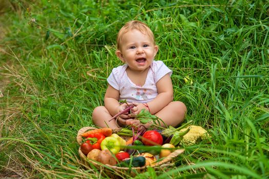 The child holds vegetables in his hands. Selective focus. Kid.