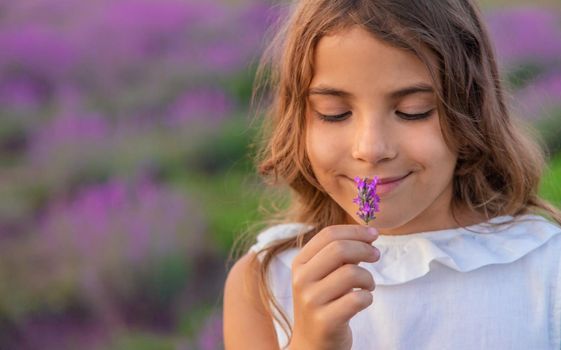 A child in a lavender field. Selective focus. Nature.