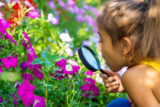 The child examines the plants with a magnifying glass. Selective focus. Kid.