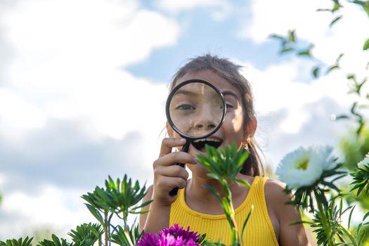 The child examines the plants with a magnifying glass. Selective focus. Kid.