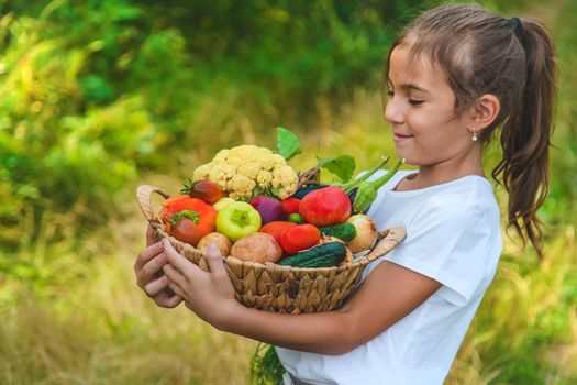 The child holds vegetables in his hands. Selective focus. Kid.