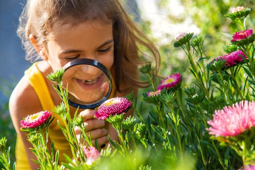 The child examines the plants with a magnifying glass. Selective focus. Kid.