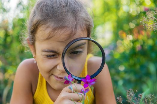 The child examines the plants with a magnifying glass. Selective focus. Kid.