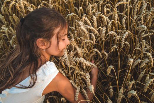 A child in a wheat field. Selective focus. Nature.