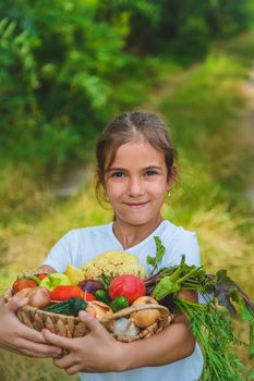 The child holds vegetables in his hands. Selective focus. Kid.