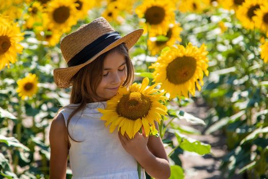 Child girl in a field of sunflowers. Selective focus. Kid.