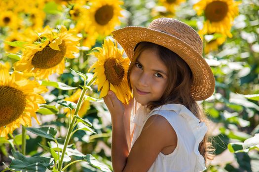 Child girl in a field of sunflowers. Selective focus. Kid.