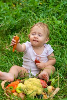 The child holds vegetables in his hands. Selective focus. Kid.