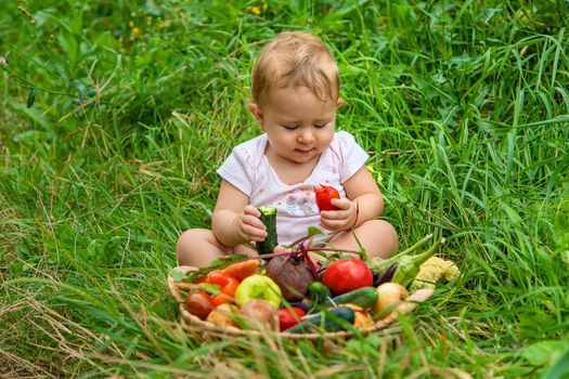 The child holds vegetables in his hands. Selective focus. Kid.